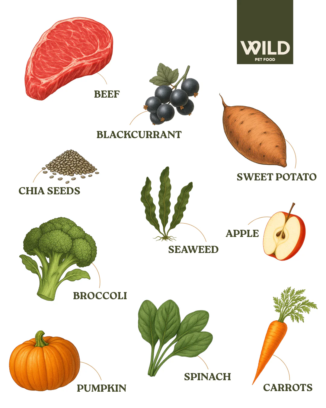 Beef 80:20 Cold-Pressed - Image 4
