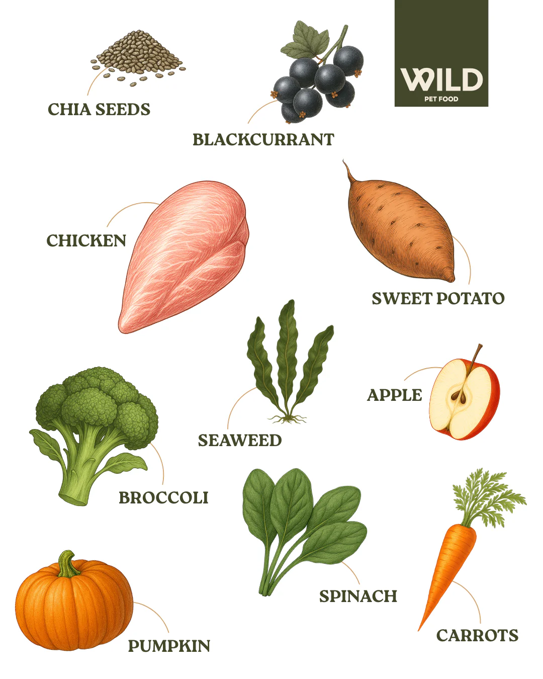Chicken 80:20 Cold-Pressed - Image 4