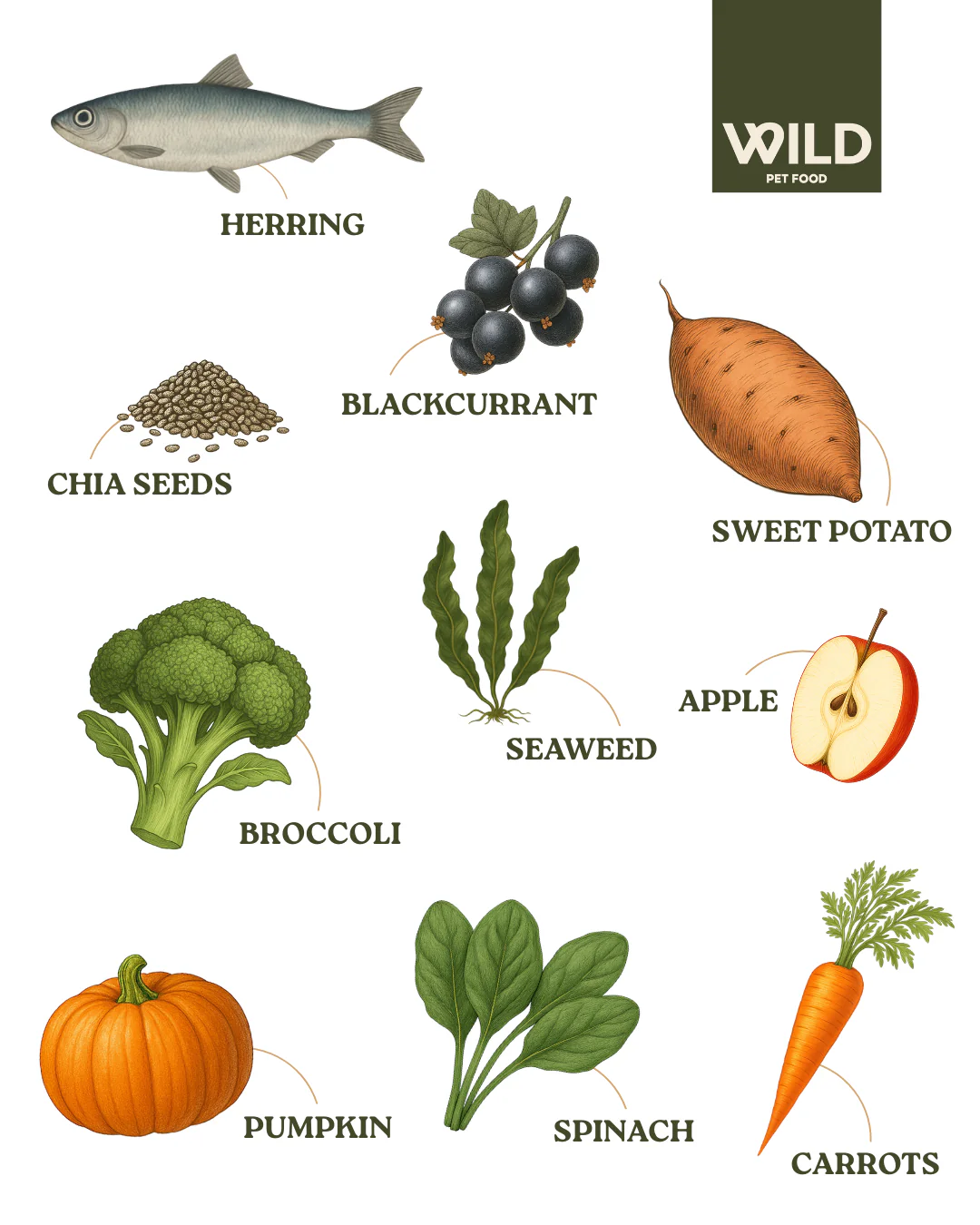 Herring 80:20 Omega+ Cold-Pressed - Image 4