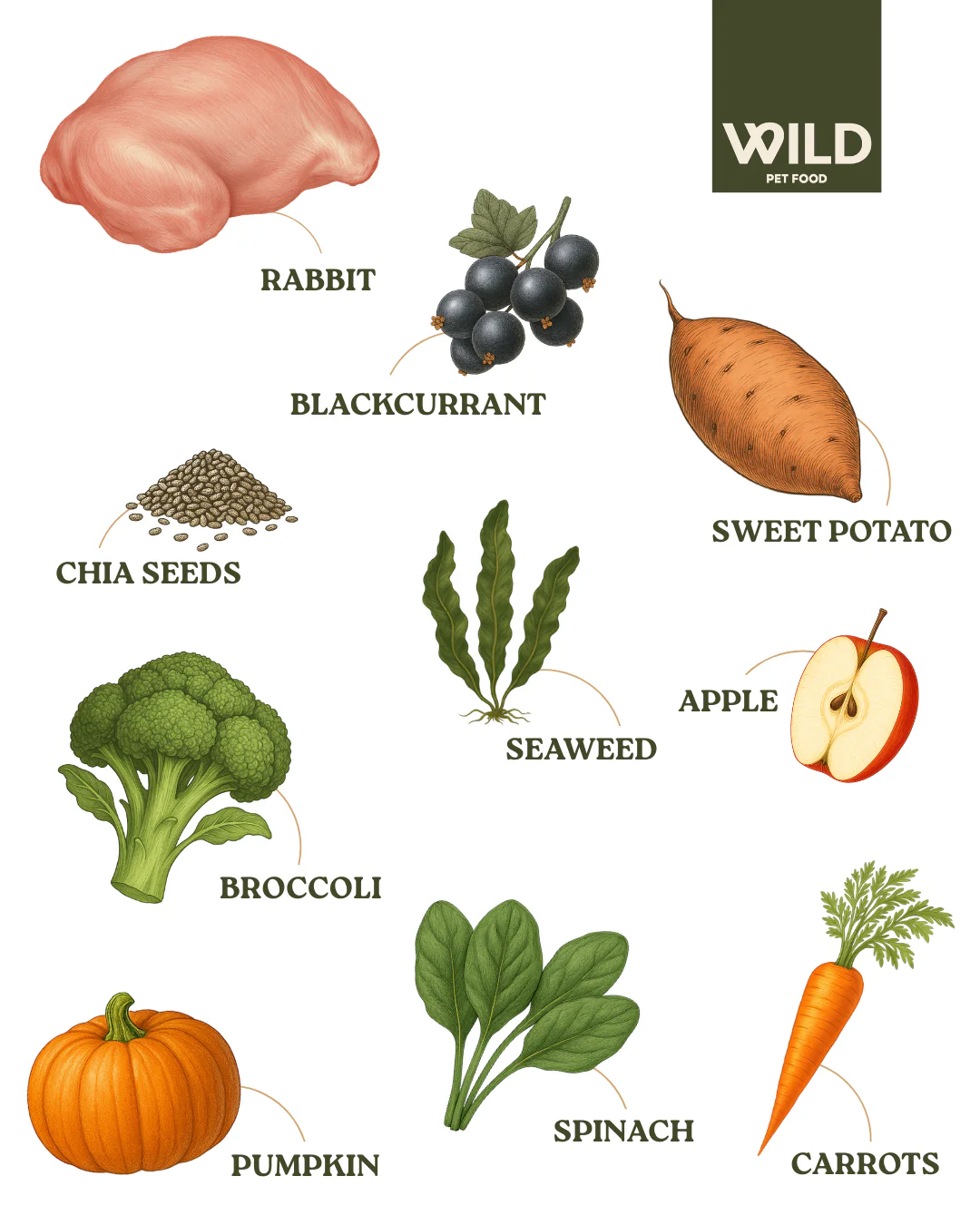 Rabbit 80:20 Lean Cold-Pressed - Image 4
